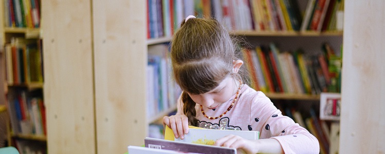 Обучение детей чтению и литературе